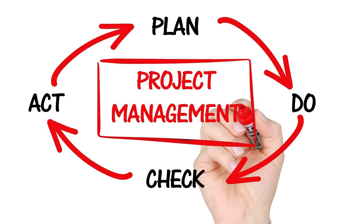 IT Project Management Services service illustration